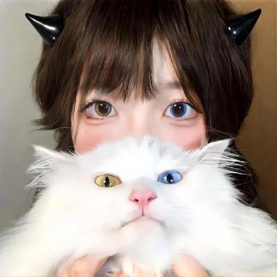 糊涂舰长